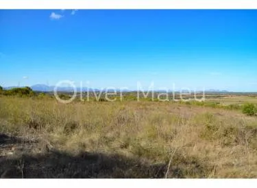 plot in Petra — photo 5