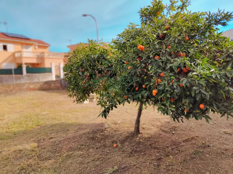 Plot for sale with project in Son Ferrer, Calvià — photo 11