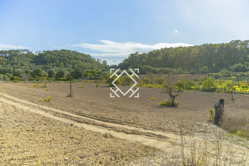 Exclusive rustic plot for sale in Costitx with project for a house and swimming pool, in the heart of Mallorca. — photo 10
