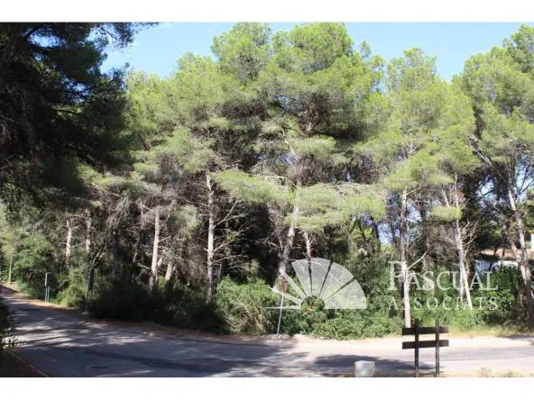 Plot for sale in Canyamel — photo 1