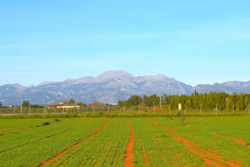 Rustic finca in Muro with 14,196 m2 of land and open views of the Serra de Tramuntana, in a quiet setting with great potential. — photo 1