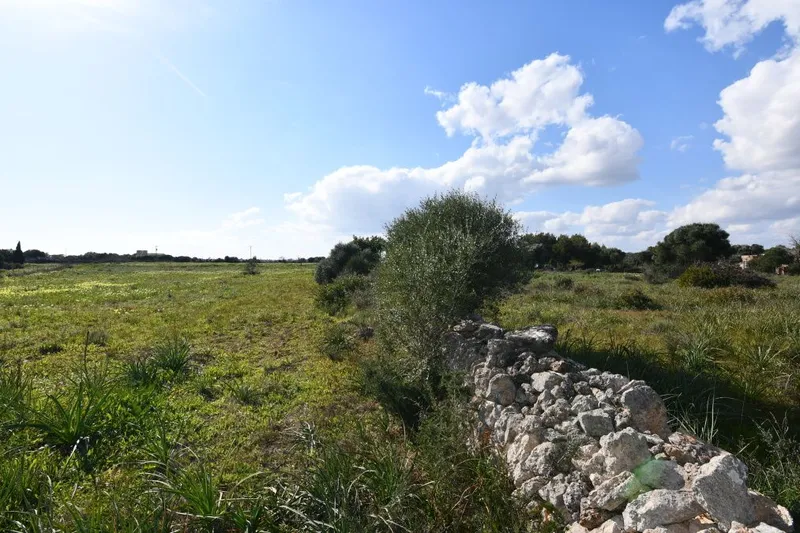 Nice plot very well located between Santanyi and Cala Figuera — photo 2