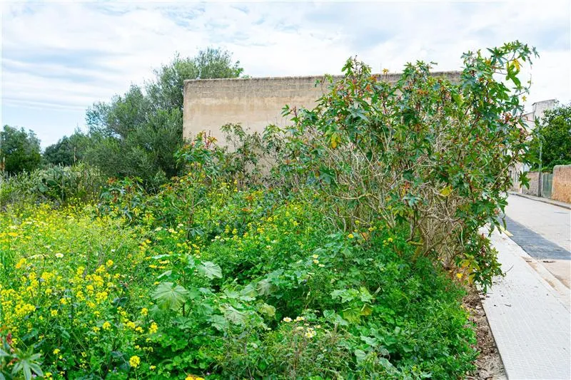 Village house with renovation plans and a pool on a lot of approximately 523 m2 — photo 12