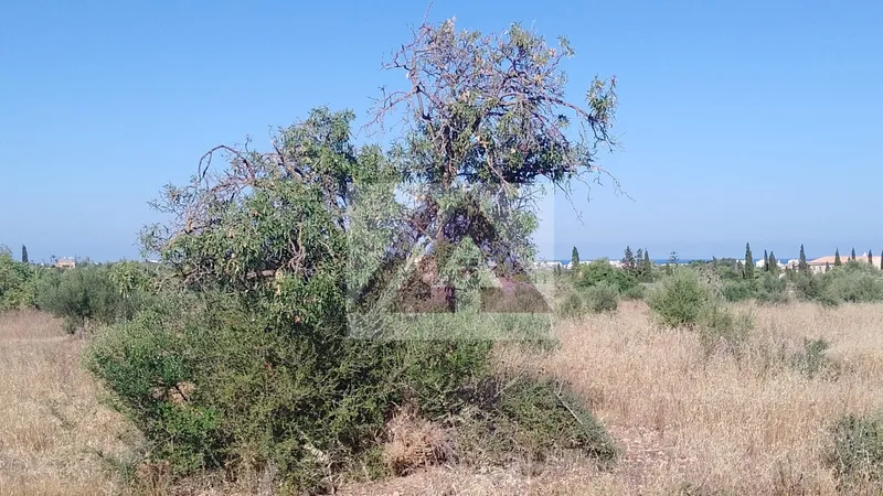 Rural land for sale in Manacor — photo 1