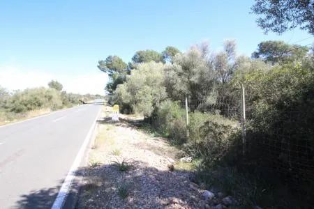 Rustic land - Llucmajor (Cala Pi-Vallgornera), plot surface 100,158 m², distance to the sea 3 km — photo 2