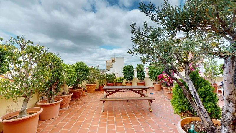 Bright penthouse with large terrace next to Paseo Mallorca — photo 12