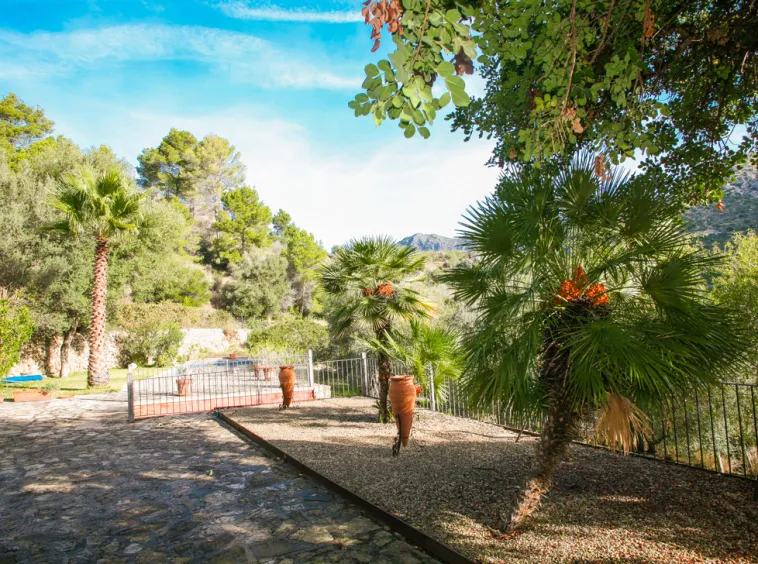 Ref.2319C – Andratx – Finca in the valley of Sa Coma Fria — photo 8