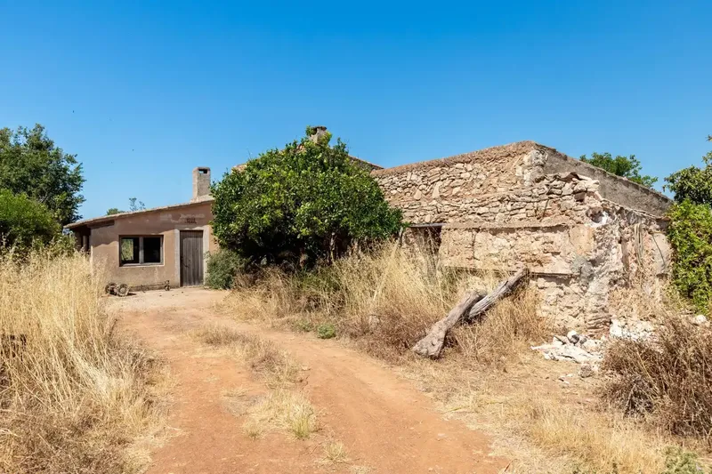 In an environment of absolute calm, surrounded by nature and with the charm of the rural landscape of Felanitx, this magnificent estate extends — photo 5
