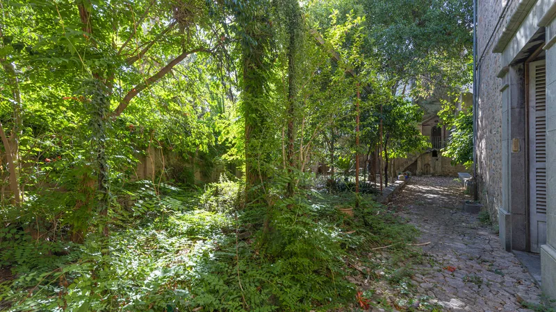 Investment! Historic mansion in the center of Soller with a lot of history and potential — photo 12