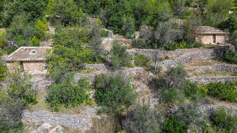 Land with two houses — photo 2