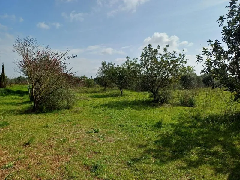 Rural or Farmhouse in Santa Maria del Camí, Province of Balearic Islands — photo 5