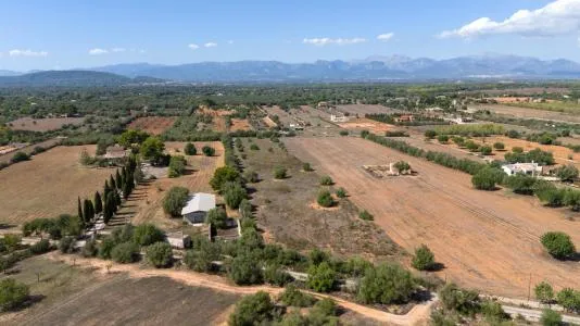 Rural Land - Algaida (Nucleo urbano 54) , Plot Surface 15597m 2 . — photo 3