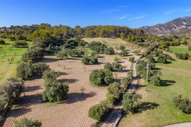 Country plot for sale ideal for building a family home in Moscari, Mallorca — photo 7