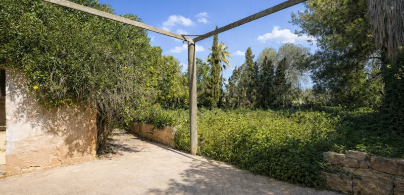 Historic village house in Ses Salines for renovation, 274 m² and plot of 433 m² — photo 5