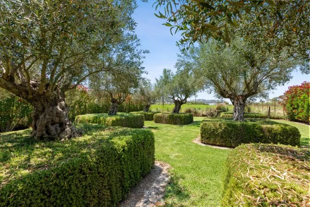 Charming finca for sale in Puerto Andratx, Southwest Mallorca — photo 11