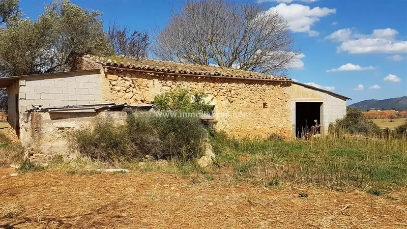 Unique opportunity on the outskirts of the charming municipality of Sencelles, on the beautiful island of Mallorca. This huge rustic estate — photo 2