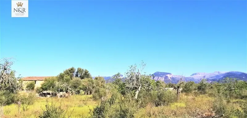 IKV00080/1. Rustic estate in Binissalem, has a 130 m2 construction built before 1956. The plot is 44000 m2, could be expanded — photo 7