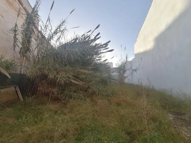 Buildable plot in the center of Felanitx — photo 7