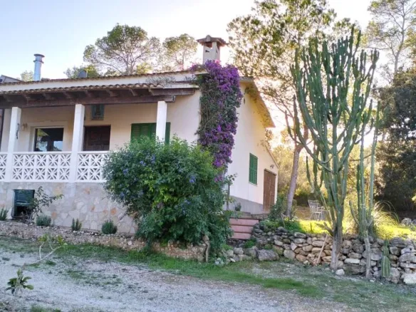 Charming finca with pool in Sant Joan — photo 1