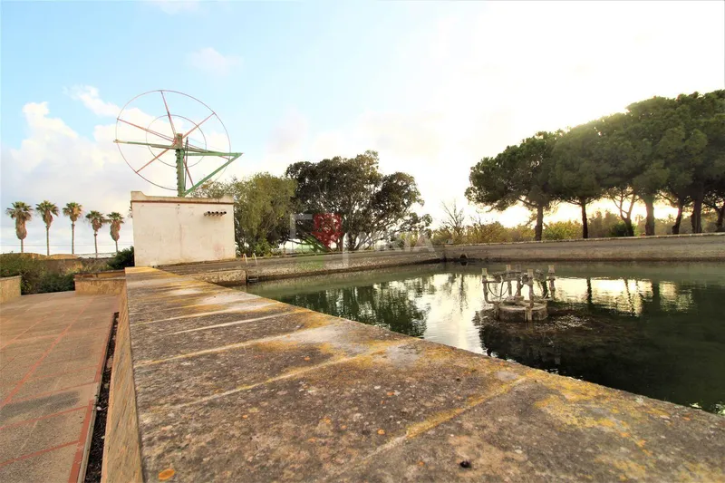 House for sale – Ses Salines (Mallorca) — photo 6