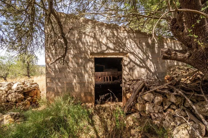 Rural or Farmhouse in Costitx, Province of Balearic Islands — photo 3