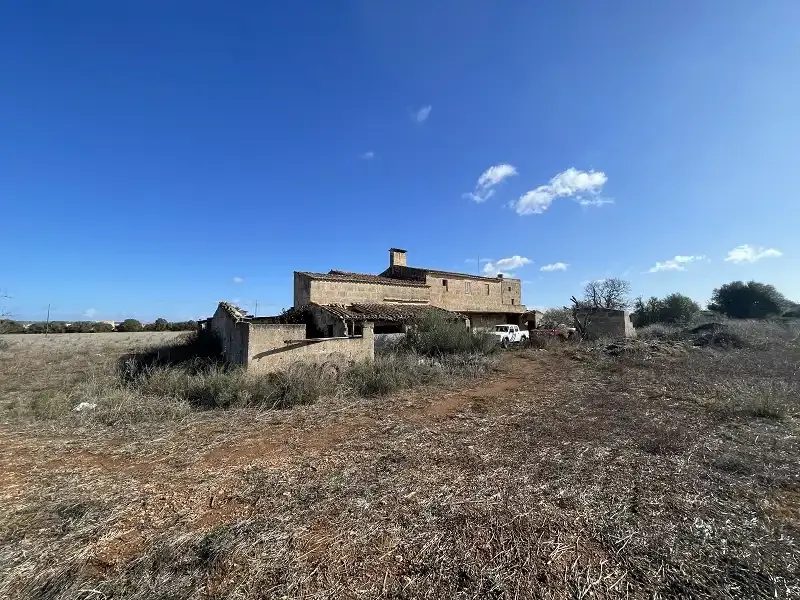 Finca to renovate, perfect for keeping animals — photo 10