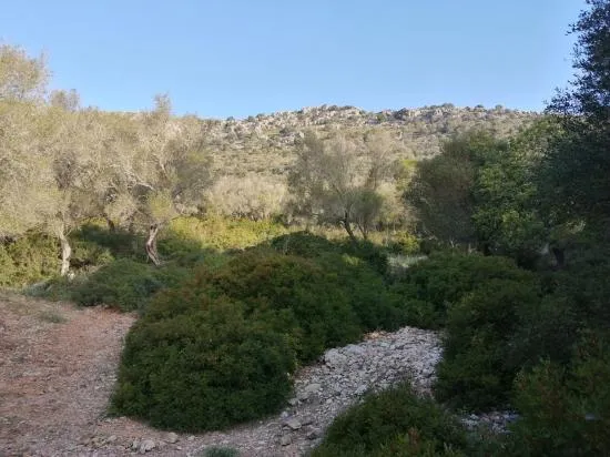 Opportunity, large buildable estate with views — photo 5