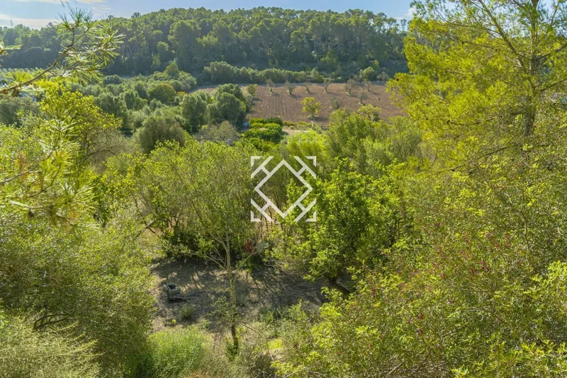 Exclusive rustic plot for sale in Costitx with project for a house and swimming pool, in the heart of Mallorca. — photo 9