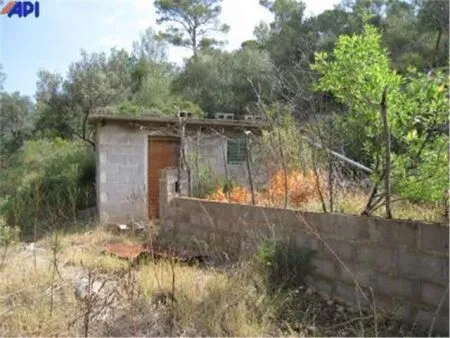 Rural land - Bunyola, plot surface 160000 m² — photo 4