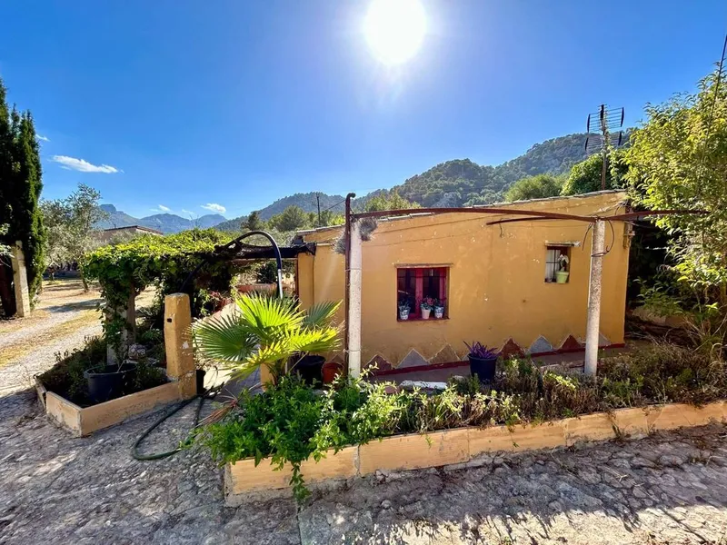 Rural or Farmhouse in Pollença, Province of Balearic Islands — photo 12