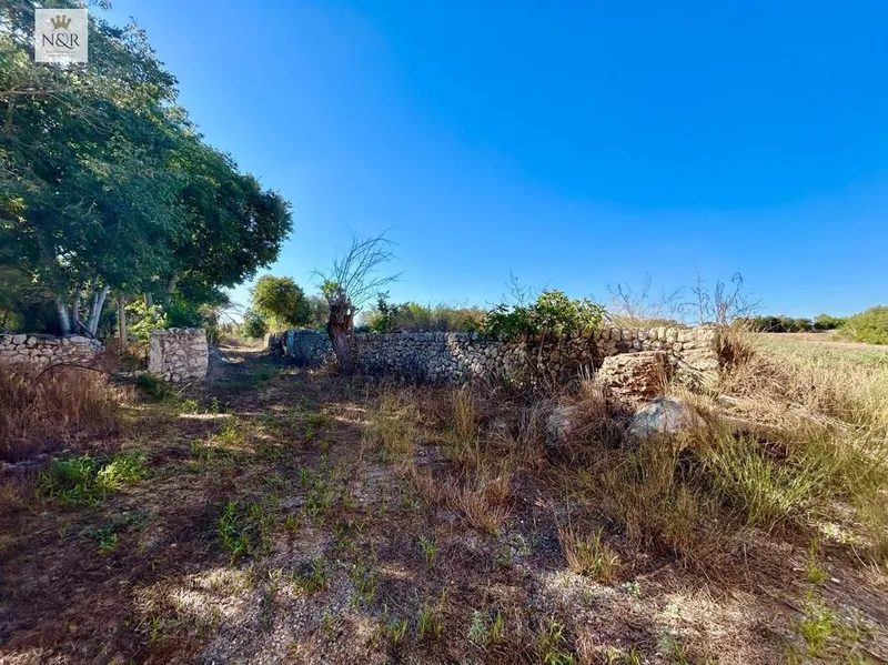 Rural or Farmhouse in Llubí, Province of Balearic Islands — photo 2
