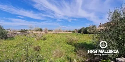 Real estate picture 0 Ref. No. 81038 — photo 6