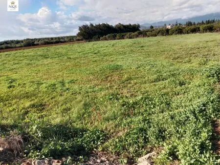Rural Land - Llubí (Llubi), Plot Surface 3500m², Distance to the sea 15 Km. — photo 1