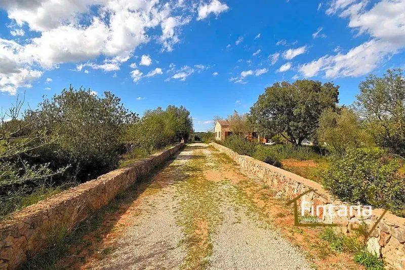 Exceptional rustic house in Mallorcan style in perfect condition, located in the Sa Ribera area 8 km from the town of Manacor — photo 5