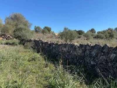 Rural land in Santa Margalida, plot surface 25,574.5 m² — photo 5