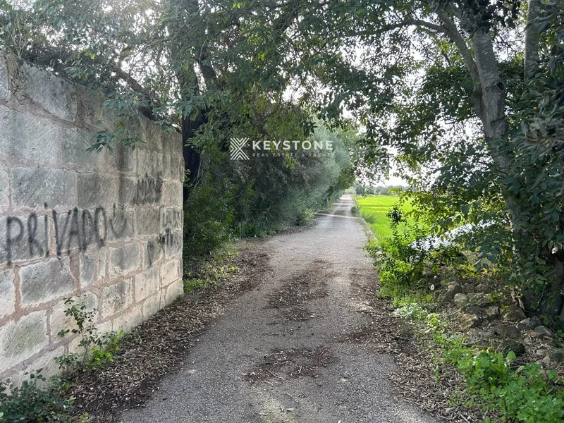 Plot — photo 11