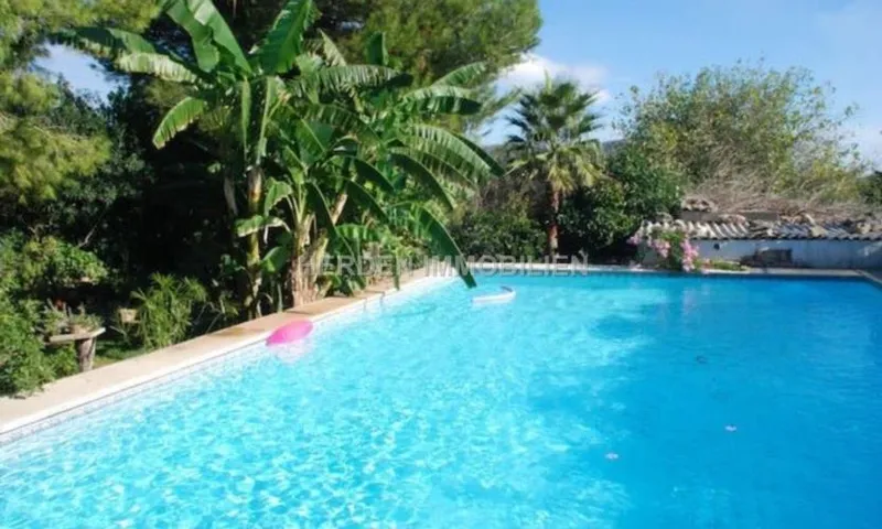 Charming Finca with Holiday Rental License (ETV) near Sa Pobla – Mallorca — photo 6