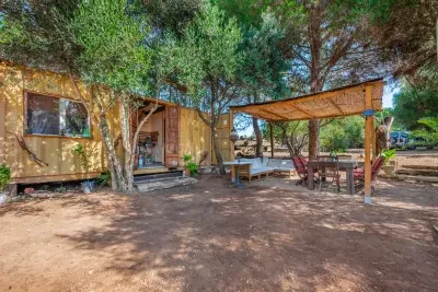 Finca in Manacor — photo 1