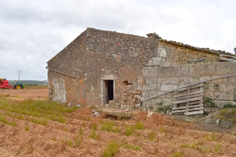 Fantastic rustic estate located in a quiet area of Sa Pobla, with a plot of 24,558 m2 and a basic project for the construction of — photo 8
