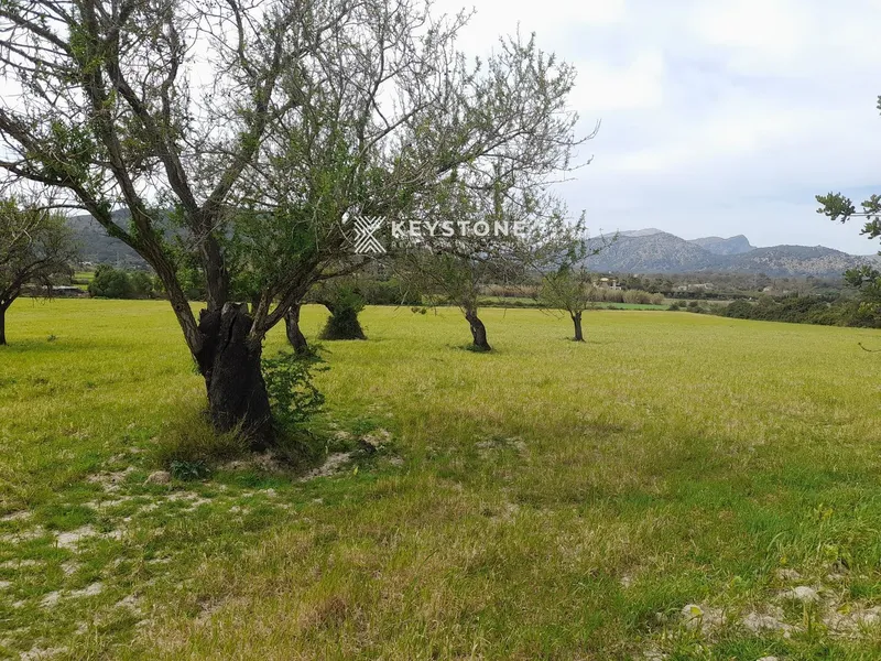 Rustic Finca — photo 11