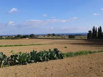 Prime location near Porto Cristo — beautiful finca for sale — photo 7