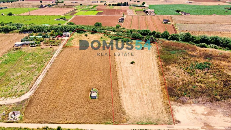 plot in Sa Pobla — photo 3