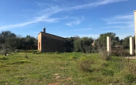 Spectacular finca in Algaida — photo 3