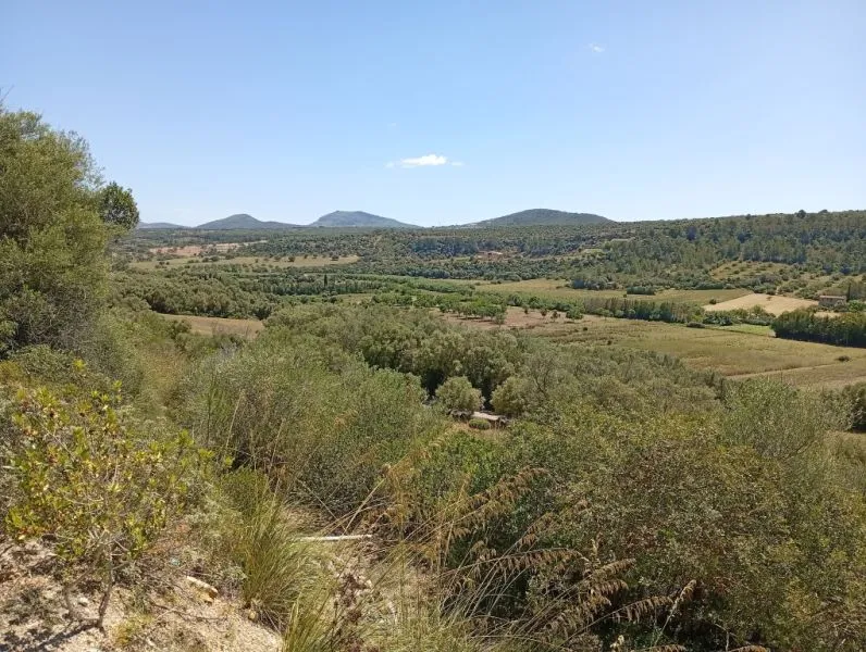 Top Small Finca with Fantastic Views and Tranquillity — photo 3