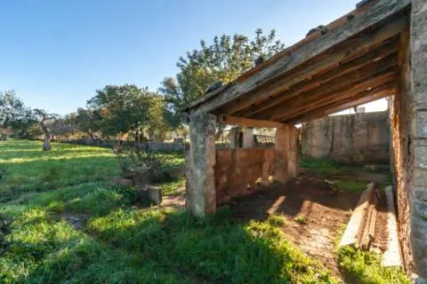 Detached house — photo 4