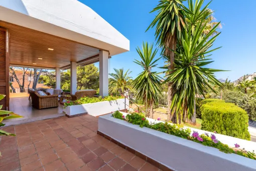 Puerto Andratx, fantastic sea-view villa for temporary rental in Port d'Andratx from February 2027 — photo 12