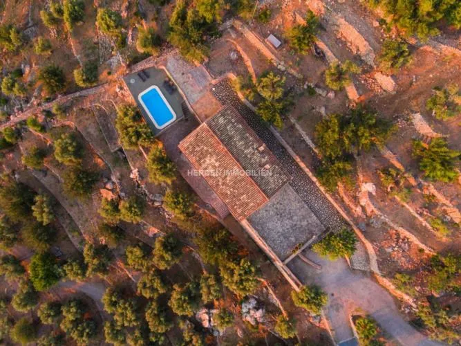Finca Port de Soller Mallorca for Rent — photo 2