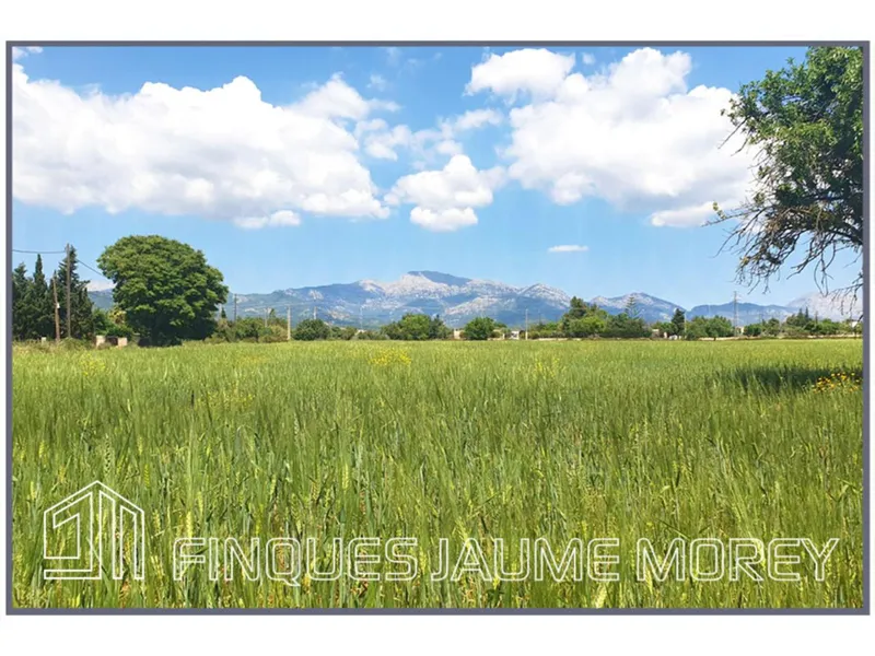 Land — photo 10