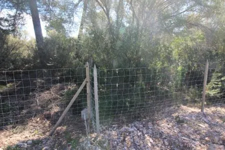 Rustic land - Llucmajor (Cala Pi-Vallgornera), plot surface 100,158 m², distance to the sea 3 km — photo 7