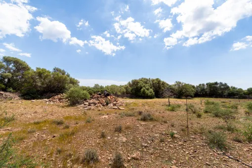Vallgornera, rustic finca with great potential in Vallgornera — photo 9